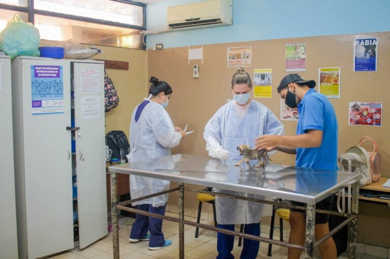 Buscan reimpulsar el IMUSA con una nueva directora