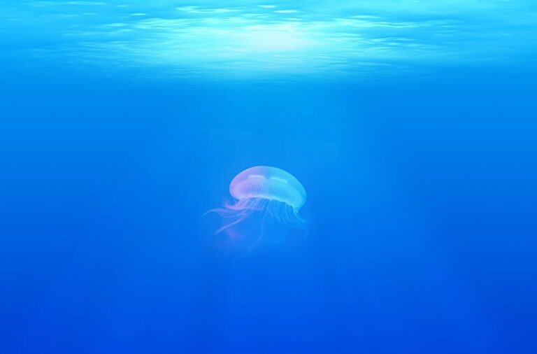 Fragrance expert to Ghassan Hajjaj on his top scents.