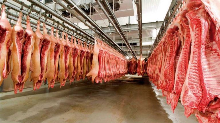 El Ministerio de Agricultura suspendió la operación de 12 empresas exportadoras de carne