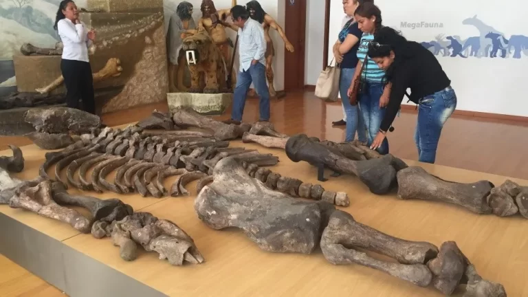 Misterio en Ecuador: hallan restos que habrían pertenecido a antiguos gigantes de 7 metros de altura