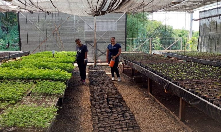 Inscriben para carrera terciaria gratuita en Cerro Azul