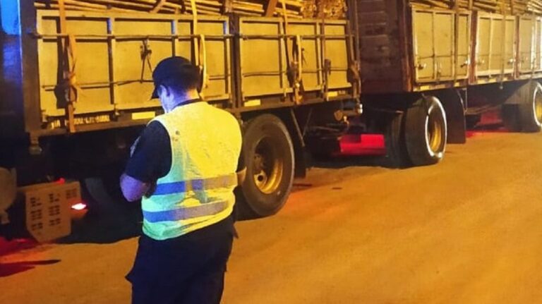 Transportaba tacuaras con documentación vencida y terminó con la carga secuestrada