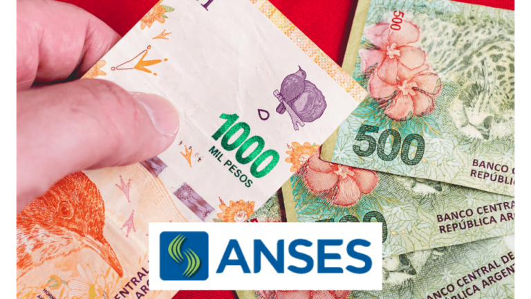 Bono de fin de año, AUH, AUE, Tarjeta Alimentar y jubilados Anses, ¿quiénes cobran este lunes 20 de diciembre?