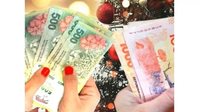 Pagos de hasta $200.000 de Anses para Navidad y Año Nuevo