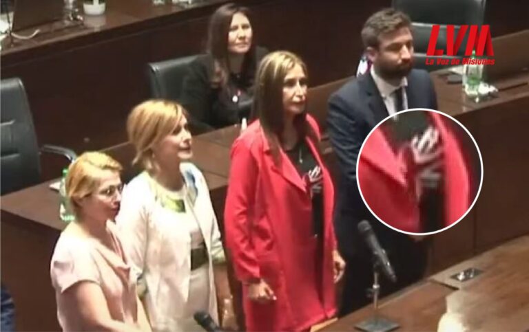 Norma Sawicz juró como diputada con una remera con la bandera británica