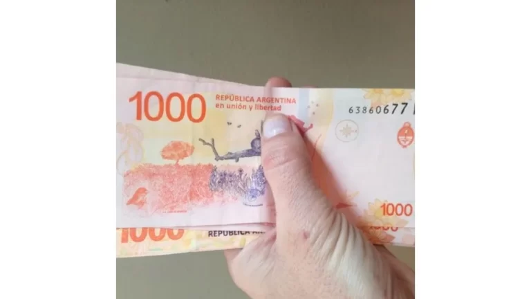 AUH y Tarjeta Alimentar: Anses confirmó fechas de cobro de febrero