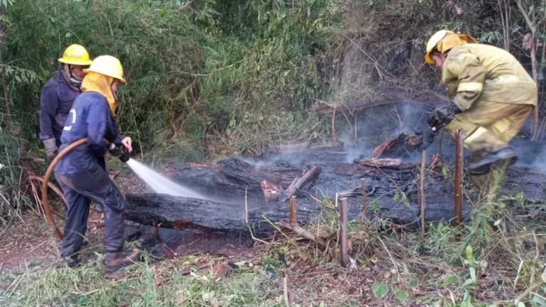 Sigue el peligro extremo de incendios y hay focos en cuatro municipios