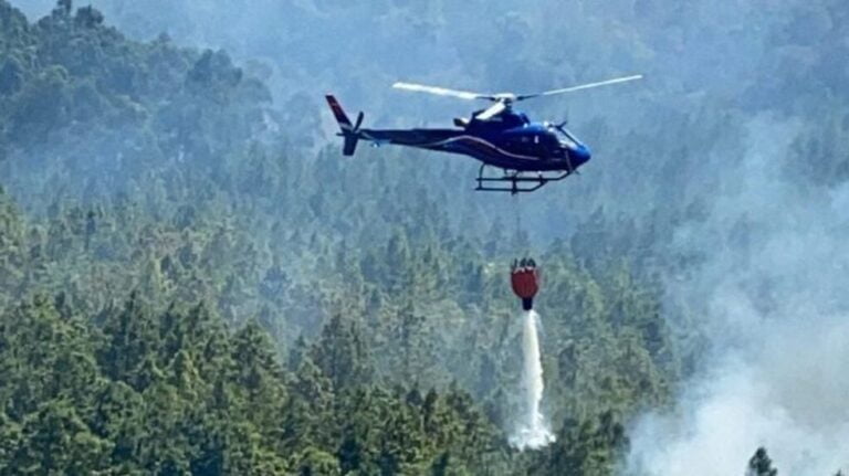 La selva misionera podría necesitar decenas de años para recuperarse de los incendios￼