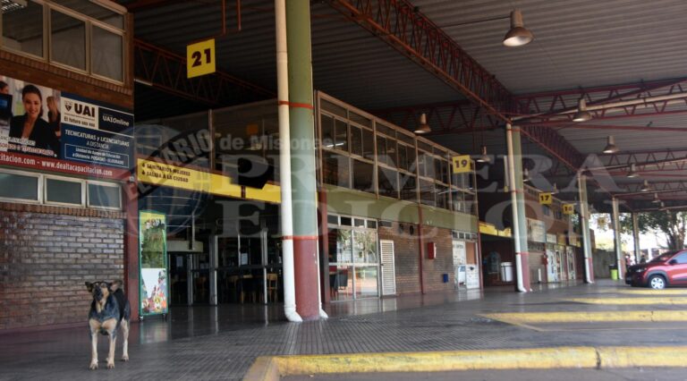 Anuncian paro de transporte en el interior del país para el fin de semana largo