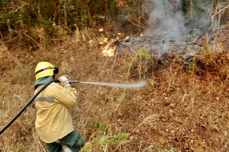 La lluvia calmó el fuego en Cuñá Pirú aunque debieron evacuar a 4 familias