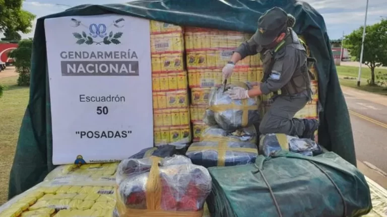 Decomisan 260 kilogramos de marihuana en el ingreso a la provincia de Misiones