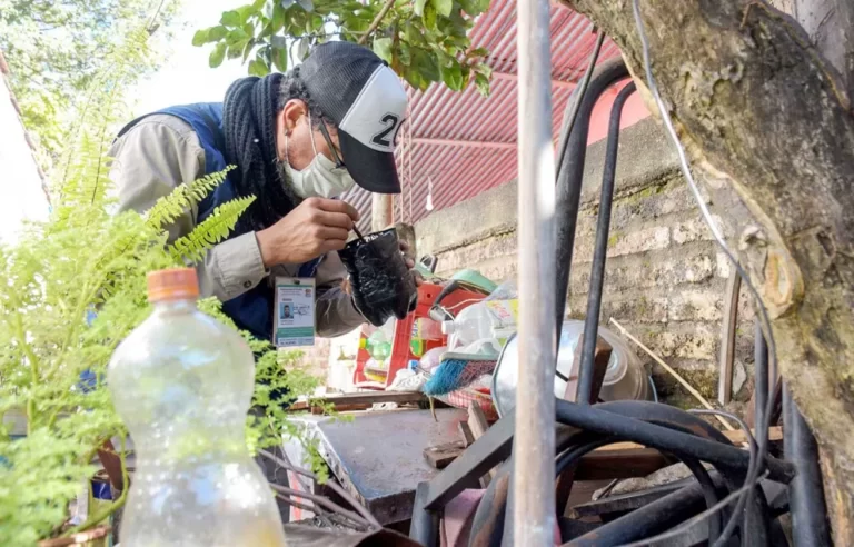 Lucha contra el dengue: recomiendan vaciar los recipientes con agua tras la lluvia