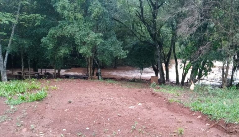 Niño de 6 años murió ahogado en un arroyo cuando intentó rescatar a su hermanita de 2: continúa la búsqueda de la pequeña
