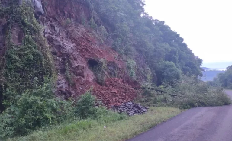 En San Pedro, se realizaron trabajos de despeje sobre ruta 20 por desmoronamiento de paredón y caída de árbol