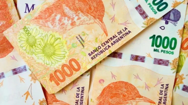 ANSES paga hasta $21.083 a desempleados: ¿Cómo acceder al cobro y qué requisitos piden?