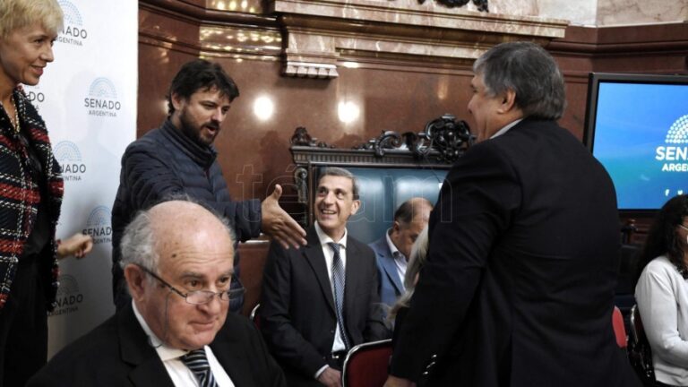 El Senado dio media sanción a la creación de un fondo para pagarle al FMI con dinero fugado al exterior