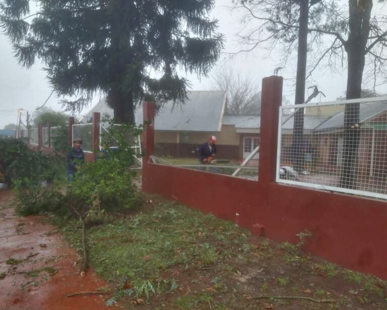 Temporal causó daños importantes en Bonpland