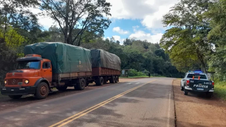 Motociclista murió al chocar un camión en Campo Viera