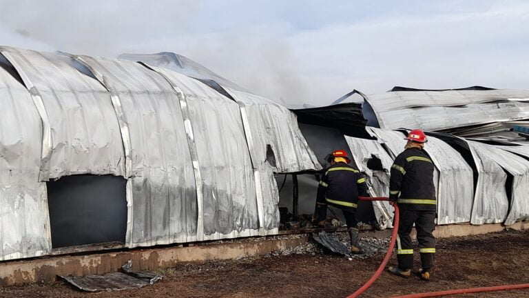 Incendio en la Aduana: estos eran los elementos que estaban en el depósito consumido por el fuego￼