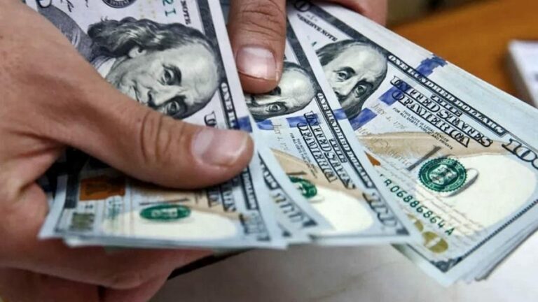 Quienes reciban subsidio en sus tarifas no podrán acceder al dólar ahorro o bursátil