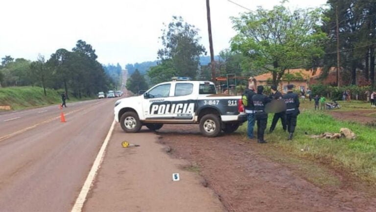 Dos peatones y dos motociclistas fallecieron por siniestros viales