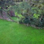 Foto: Sergio Contreras