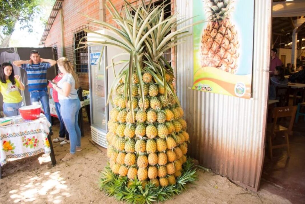 Fiesta-del-Anana-1-1089x730.jpg Fiesta-del-Anana-1-1089x730.jpg