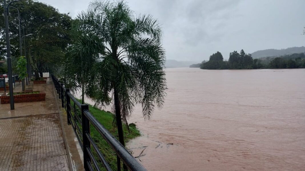 WhatsApp-Image-2024-05-04-at-12.06.31-1-1