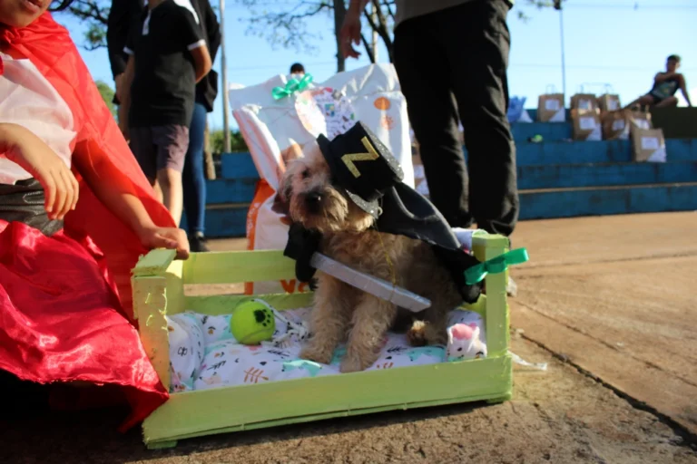 Monito y Luna se coronan en el Desfile de Mascotas 2024 en Candelaria