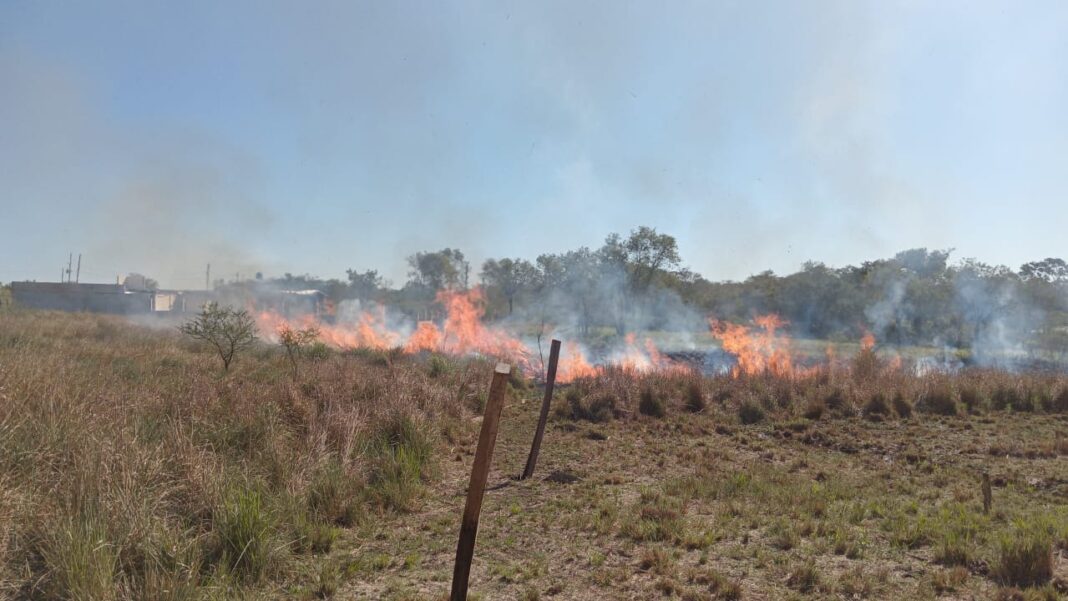 WhatsApp Image 2025-01-07 at 8.29.34 AM