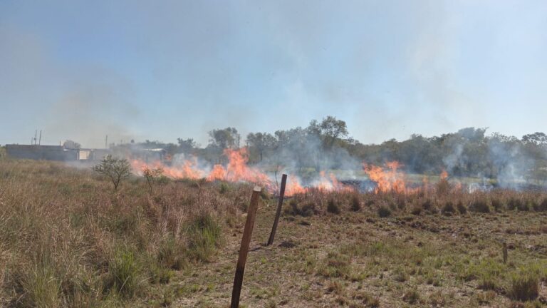 Alerta por el Intenso Calor: Llamado a la Responsabilidad Ciudadana para Prevenir Incendios