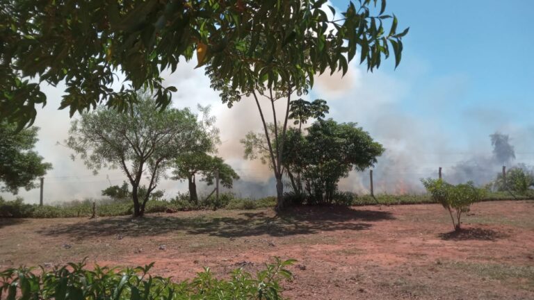 El drama de la basura en Candelaria: falta de educación y empatía agrava la problemática ambiental